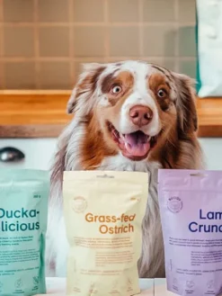 Friandises saines pour chien - Autruche nourrie à l'herbe