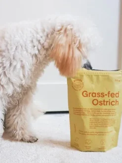 Friandises saines pour chien - Autruche nourrie à l'herbe