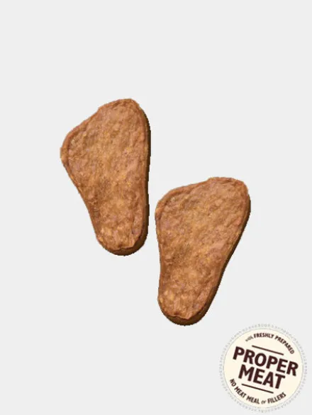 Friandises sans céréales pour chien - Jerkies au Poulet
