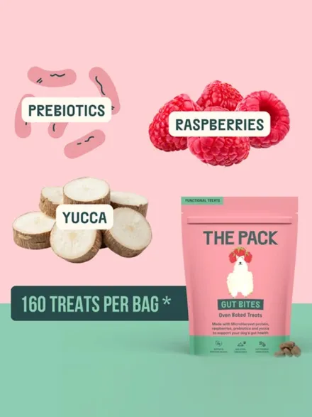 Friandises véganes pour chien - Gut bites (Digestion) ➿ The Pack
