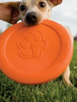 Frisbee Eco Friendly pour chien - Zisc - West Paw - Orange