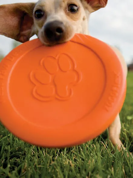 Frisbee Eco Friendly pour chien - Zisc - West Paw - Orange