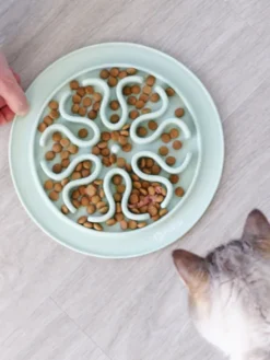 Gamelle anti-glouton pour chat - gris foncé