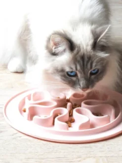 Gamelle anti-glouton pour chat - gris foncé