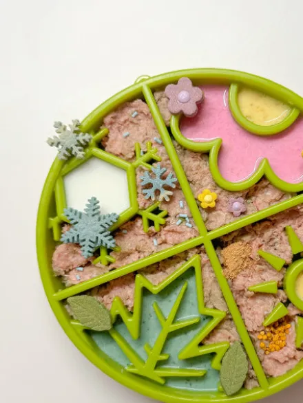 Gamelle d'enrichissement - E-tray 4 saisons - SodaPup