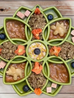 Gamelle d'enrichissement - Mandala - Vert - SodaPup