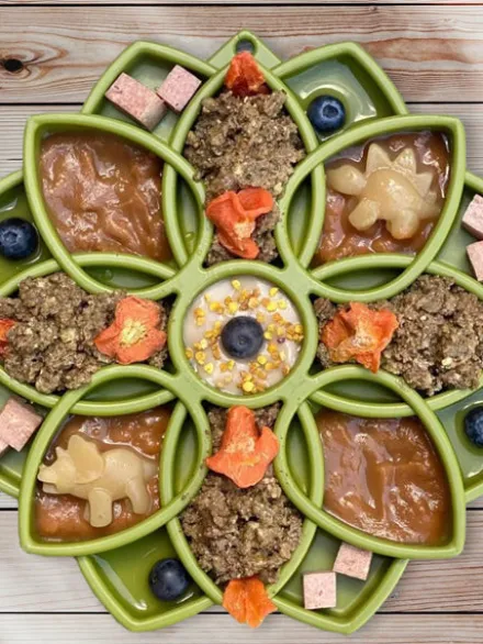 Gamelle d'enrichissement - Mandala - Vert - SodaPup