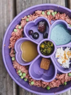 Gamelle d'enrichissement pour chien - Flower Violet - SodaPup
