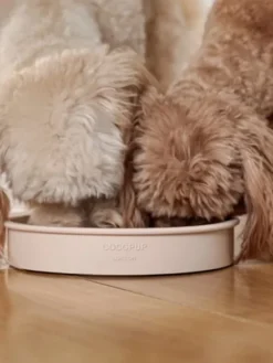Gamelle d'enrichissement pour chien - Fleur - CocoPup London (2 coloris)