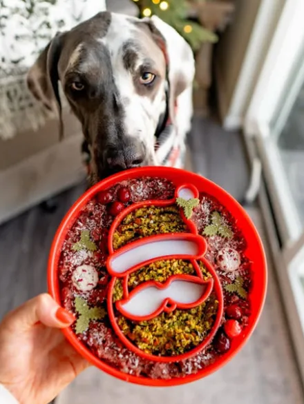 Gamelle d'enrichissement pour chien - Santa - SodaPup