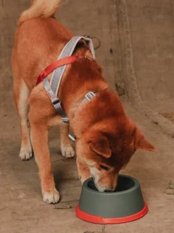 Gamelle en mélamine pour chien et chat - Suede - Reebok x Zee.dog