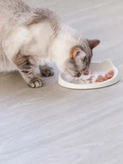 Gamelle MEOOW pour chat - Rose