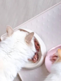 Gamelle MEOOW pour chat - Rose