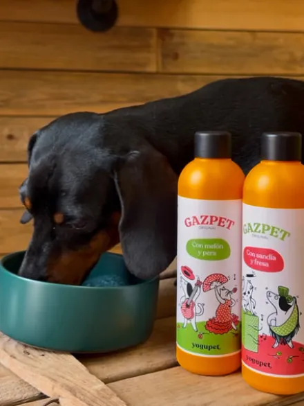 Gaspacho pour chien et chat - Gazpet Pastèque 🍉 et Fraise 🍓 - Yogupet