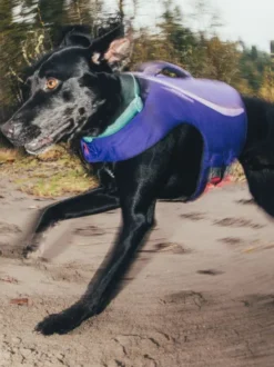 Gilet de sauvetage pour chien - Float coat Violet - Ruffwear