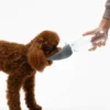 Gourde et distributeur d'eau portable Leaf - Gris - United Pets