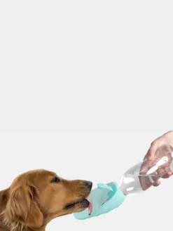 Gourde et distributeur d'eau portable Leaf - Rose - United Pets