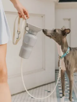 Gourde pour chien avec distributeur d’eau - Large (65 cl) Gris - Springer