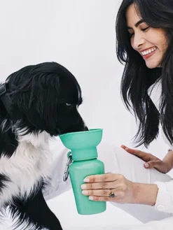 Gourde Springer Flip Dog avec distributeur d’eau - Avoine - Springer