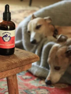 Gouttes de Valériane Dorwest - Anti-stress pour chien et chat