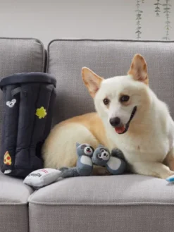 Grand jouet d'occupation pour chien - Hide-a-Raccoon