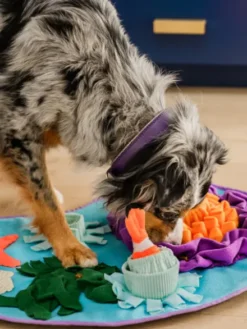 Grand Tapis de fouille pour chien - Océan 🪸 - Pet PLAY