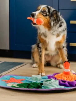 Grand Tapis de fouille pour chien - Océan 🪸 - Pet PLAY