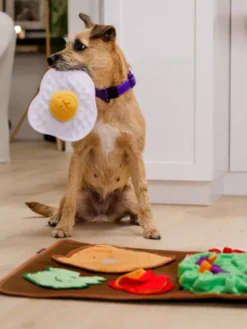 Grand Tapis de fouille pour chien - Brunch 🍳 - Pet PLAY