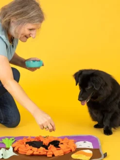 Grand Tapis de fouille snuffle mat - Halloween 👻 - Pet PLAY
