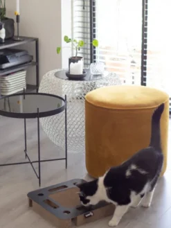 Griffoir en carton pour chat - Carré noir