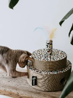 Griffoir en carton pour chat - Gâteau d'anniversaire léopard