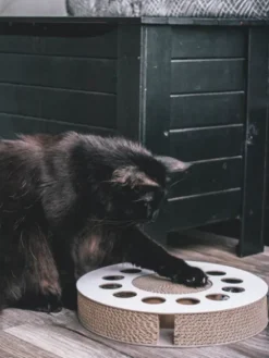 Griffoir en carton pour chat - Rond noir