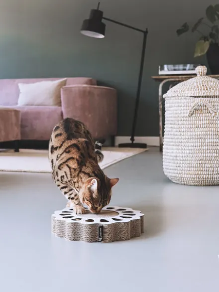 Griffoir en carton pour chat - Soleil blanc