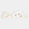Groins de porc pour chien