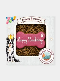 Gâteau d'anniversaire pour chien Happy Barkday – Cooka's Cookies