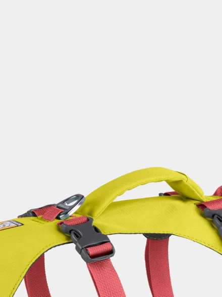 Harnais avec poignée Ruffwear - Flagline - Lichen Green