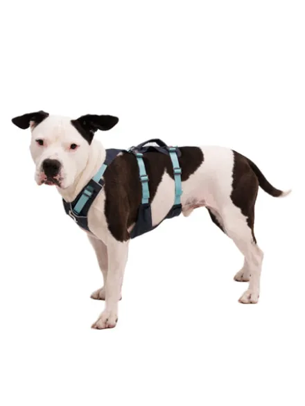 Harnais avec poignée Ruffwear - Flagline - Basalt Gray