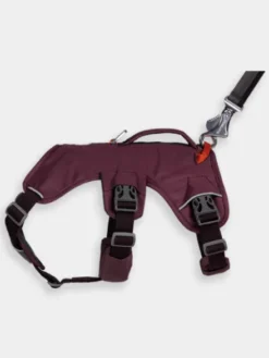 Harnais avec poignée Ruffwear - Webmaster - Purple Rain