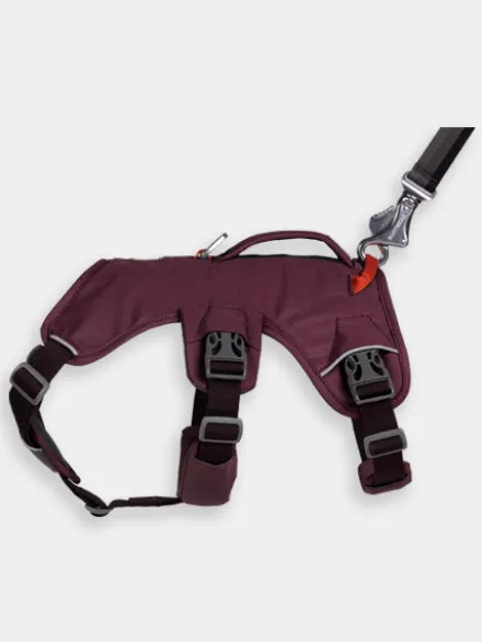 Harnais avec poignée Ruffwear - Webmaster - Purple Rain