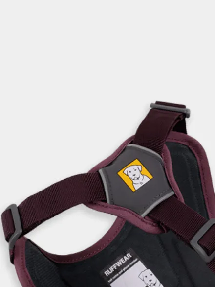 Harnais avec poignée Ruffwear - Webmaster - Purple Rain