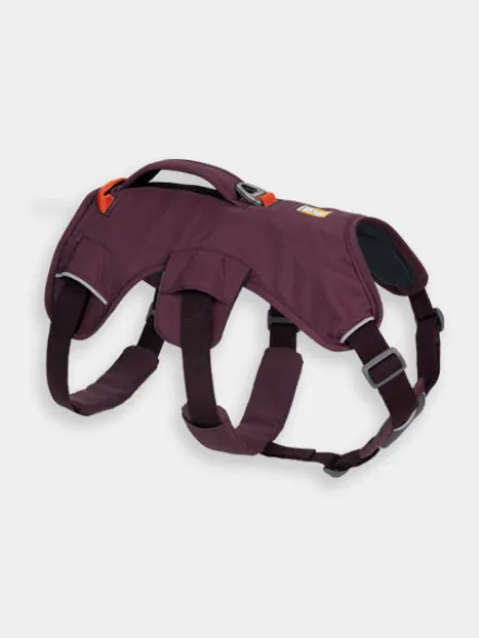 Harnais avec poignée Ruffwear - Webmaster - Purple Rain