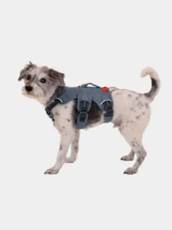 Harnais avec poignée Ruffwear - Webmaster - Slate Blue