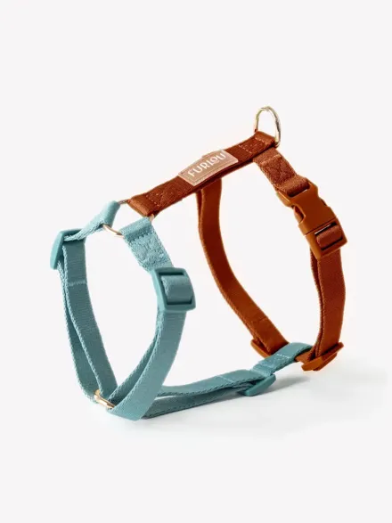 Harnais en H pour chien - Bleu et Argile - Furlou