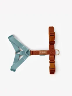 Harnais en H pour chien - Bleu et Argile - Furlou