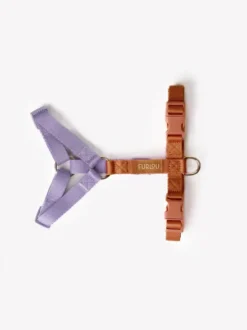 Harnais en H pour chien - Terracotta et Lavande - Furlou