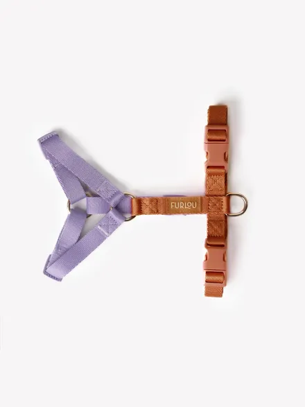 Harnais en H pour chien - Terracotta et Lavande - Furlou