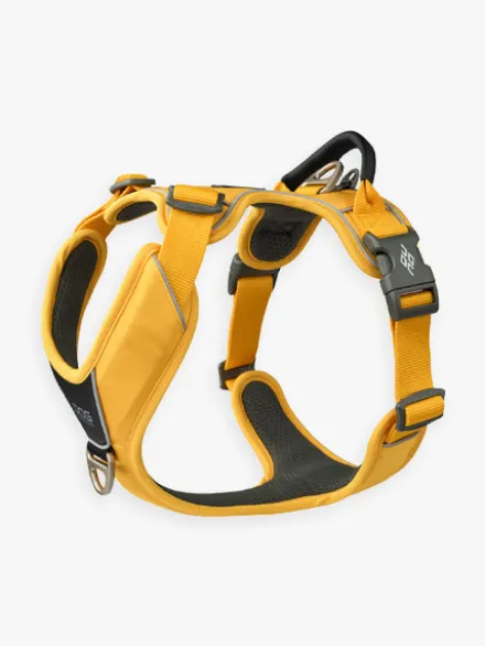 Harnais Lemon pour chien - Comfort Walk Pro 3.0 - DOG Copenhagen