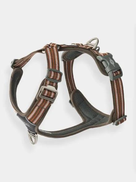 Harnais Marron pour chien - Comfort Walk Air 3.0 - DOG Copenhagen