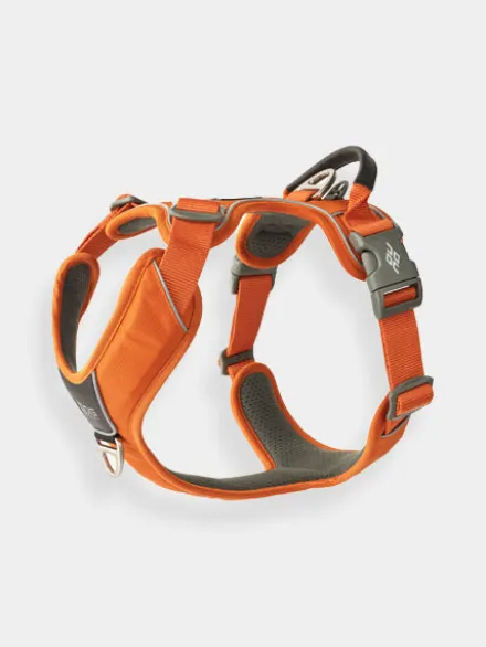 Harnais Orange pour chien - Comfort Walk Pro - DOG Copenhagen