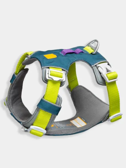 Harnais pour chien Alpha 360 - Deep teal Mix - Woolly Wolf